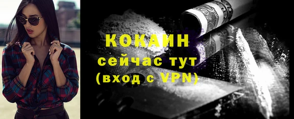 гидропоника Пересвет