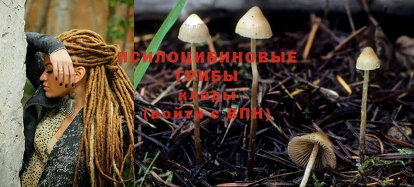 MDMA Пестово