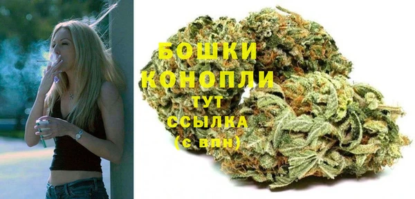 гидропоника Пересвет