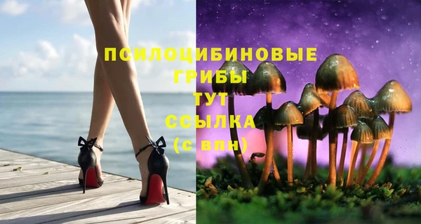 гидропоника Пересвет