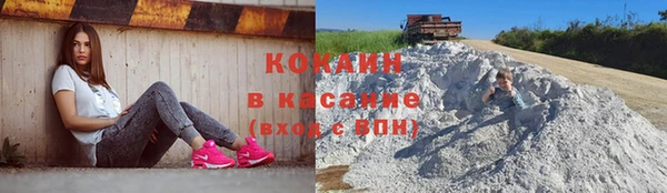 гидропоника Пересвет