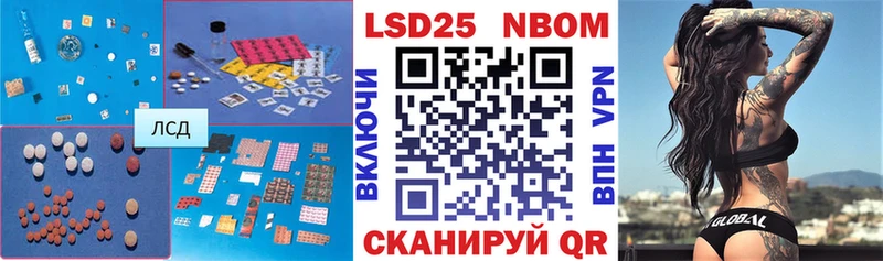 Купить закладки  Елизово  Лсд 25 экстази кислота 
